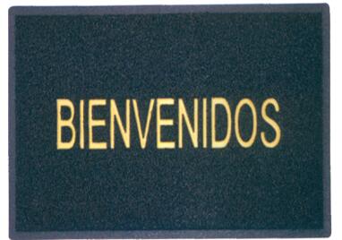 Door Mat - BIENVENIDOS